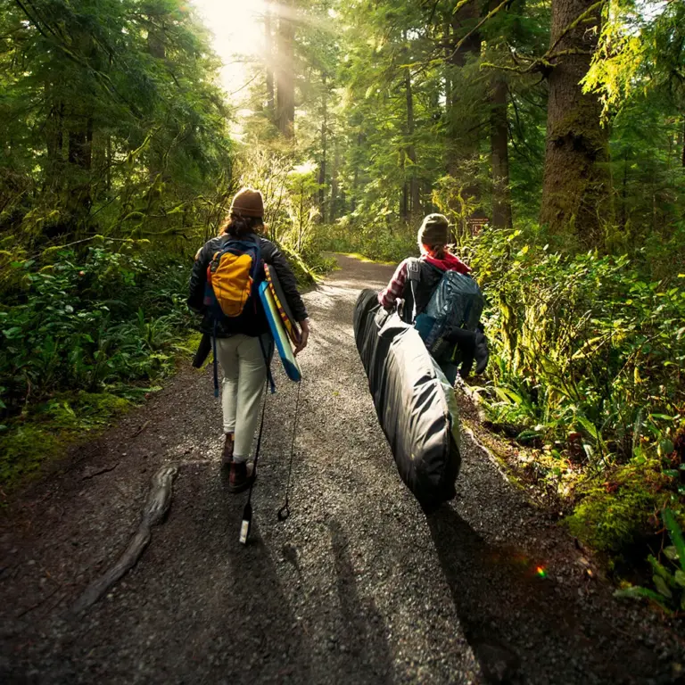 image of friends in the forest with surfboard